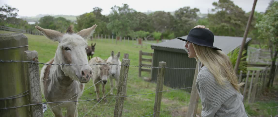 A woman is talking to a mule