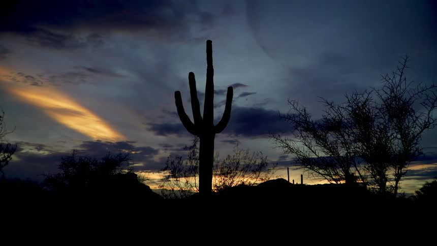 The sun is setting beyond a saguaro cactus in the desert