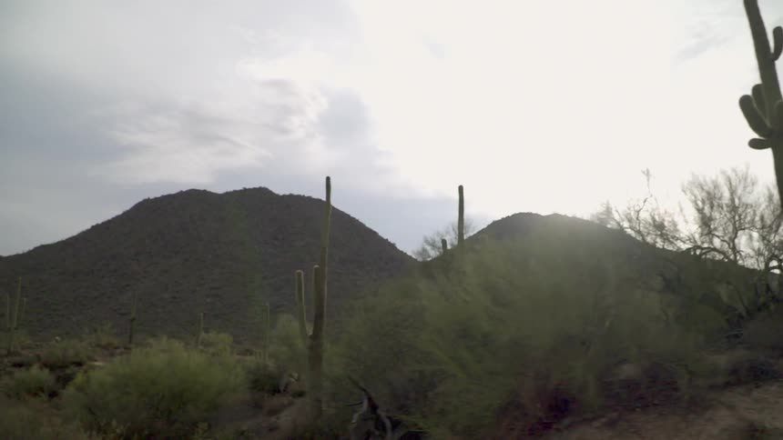 Cacti and shrubs cover the desert landscape