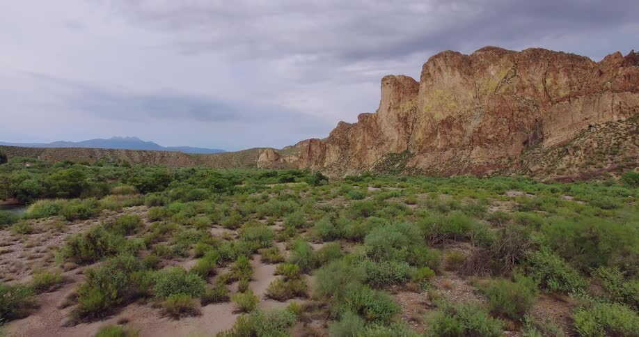 A large mountain near a body of water with little trees growing in the sand