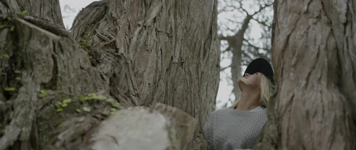 A blonde woman sitting in a tree and looking towards the sky