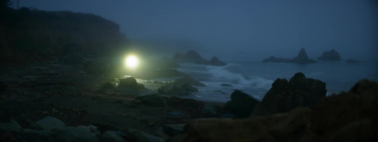 A woman uses a flashlight on the beach at night