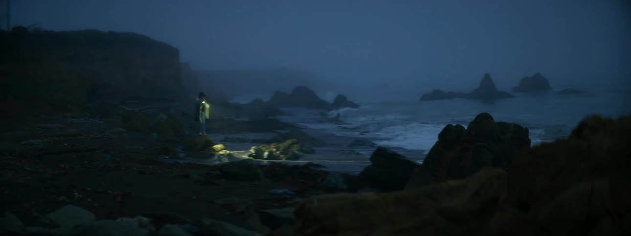 A person is searching on the beach with a flashlight at dawn
