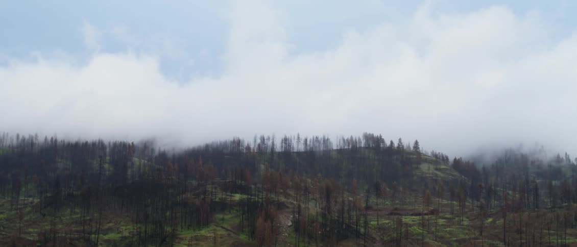 Blue sky and clouds over trees and hills