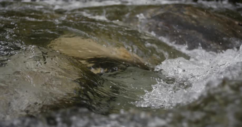The water is moving fast in the rapids