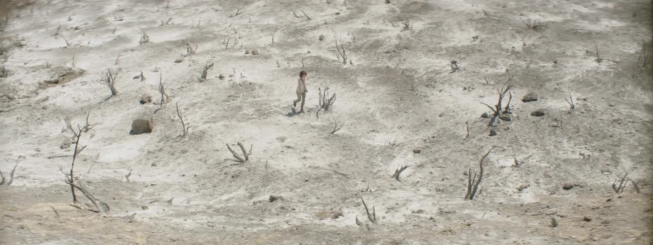 A woman walks on the sand