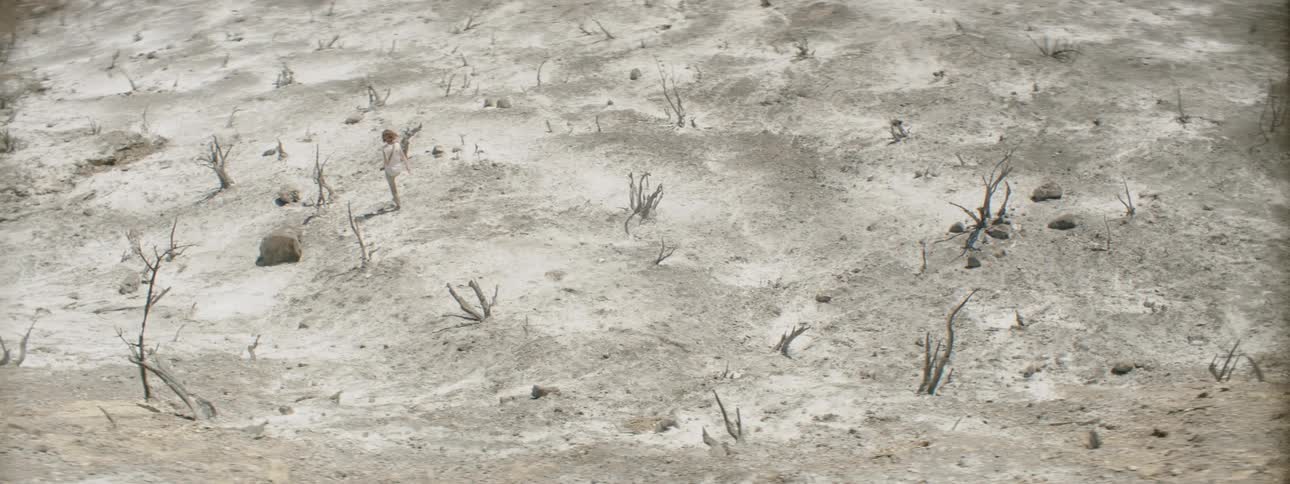 Person walks through a dust desert on a sunny day