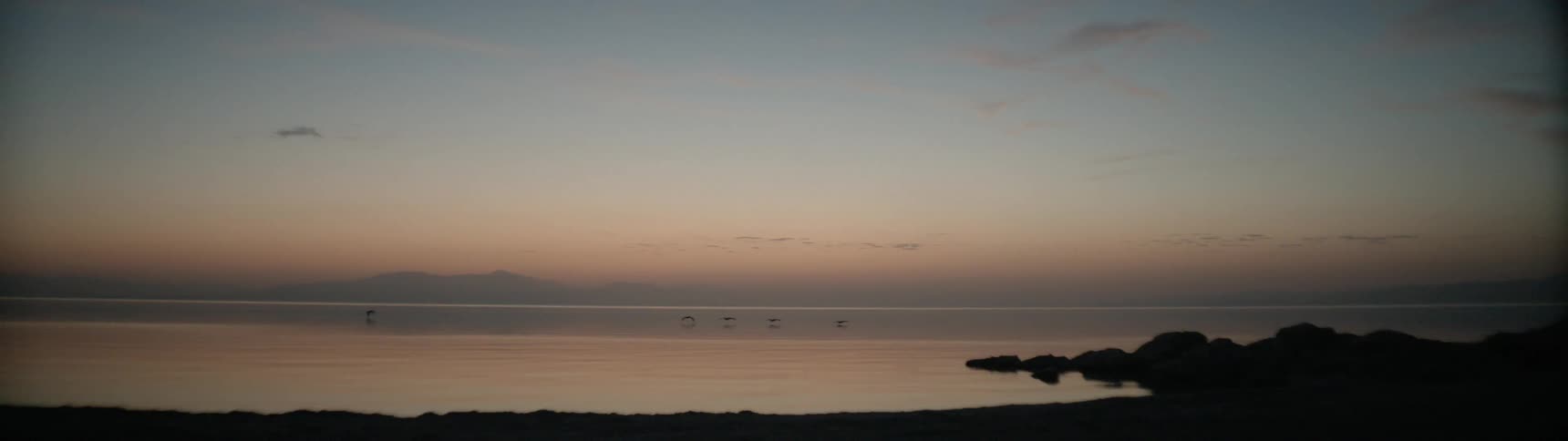 Several birds flying just above the surface of calm waters at sunrise