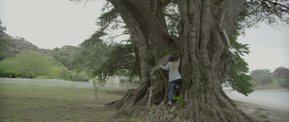Woman attempting to climb a large tree