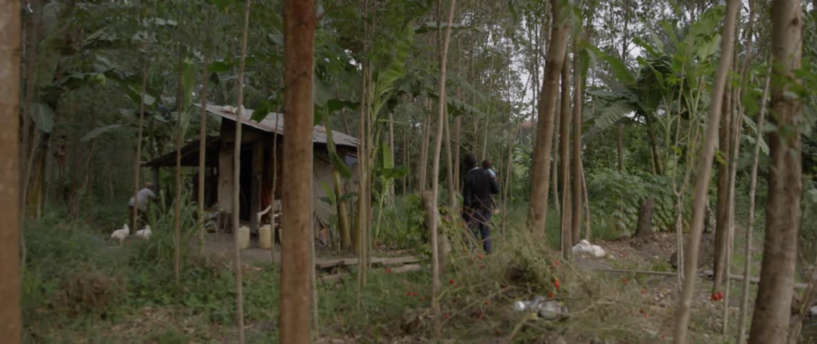 A man walks with two young children to a shack in the woods