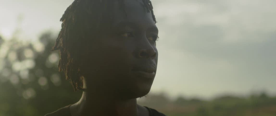 A man looks around over the green fields
