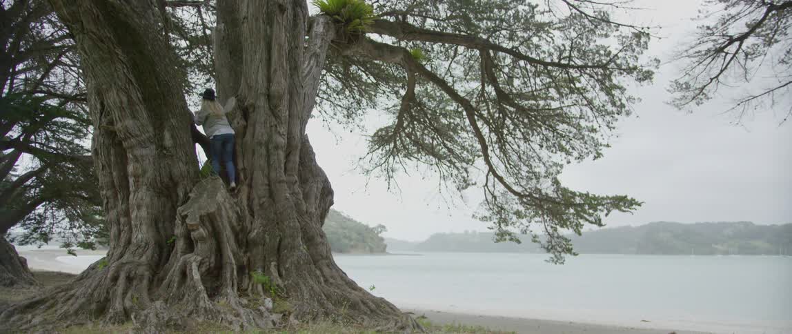 Woman climbing a large tree on a cloudy day