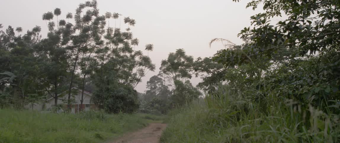Path winds through grassy hills and trees