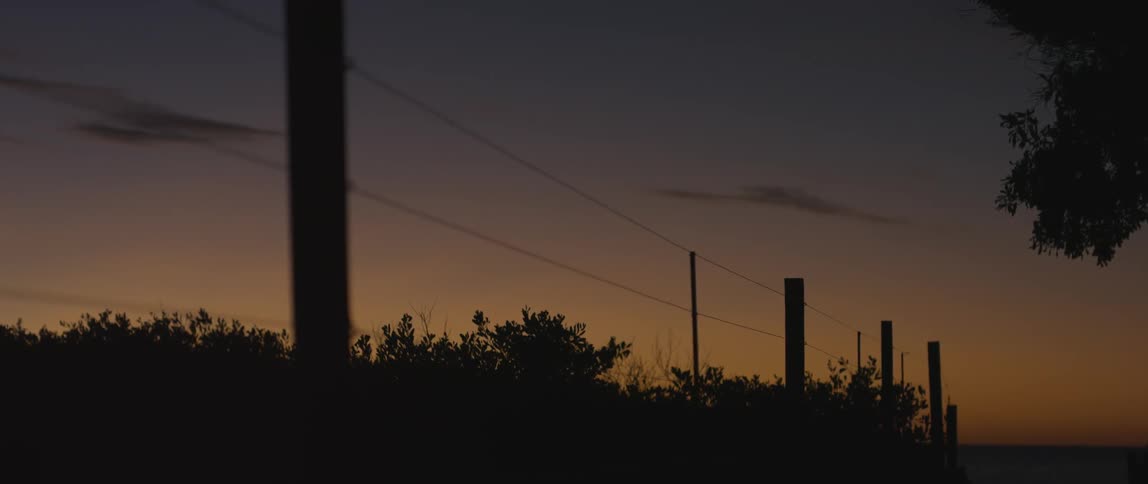 A view of barbed wire fencing and trees as the sun sets