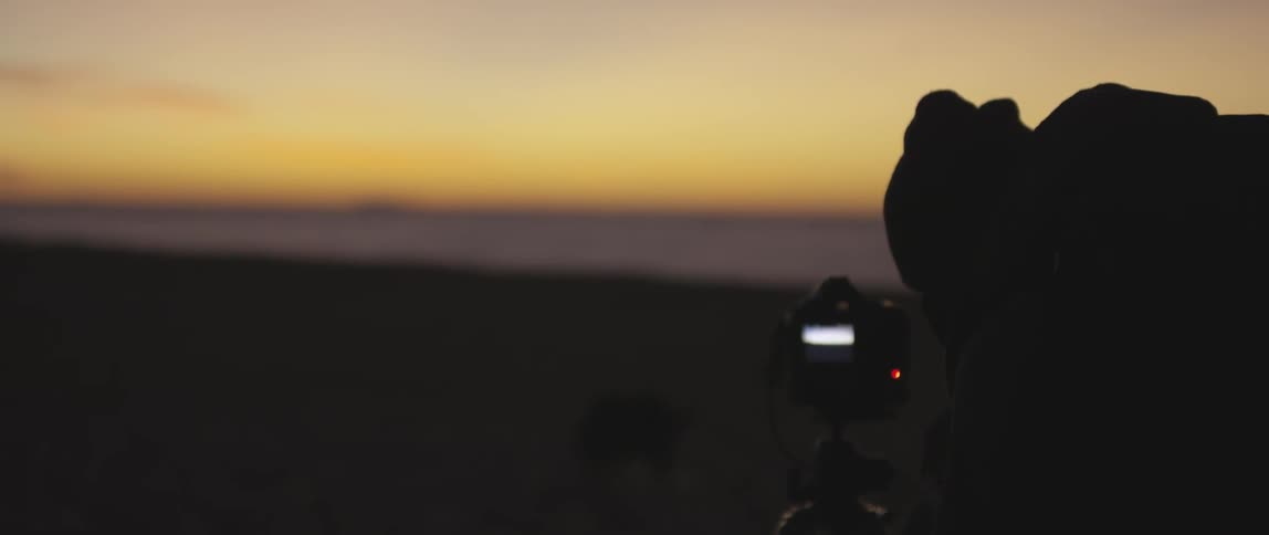 A photographer looks through his camera at animals walking on the shore at sunset