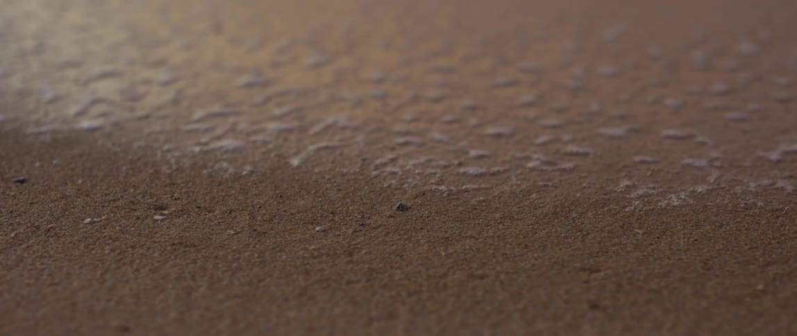 Water is absorbed into the sand