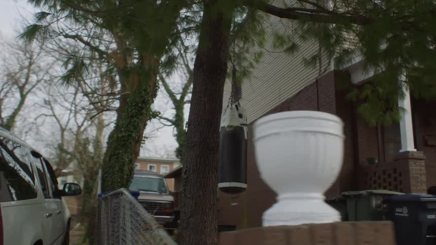 Someone has a heavy punching bag tied to a tree in their front yard