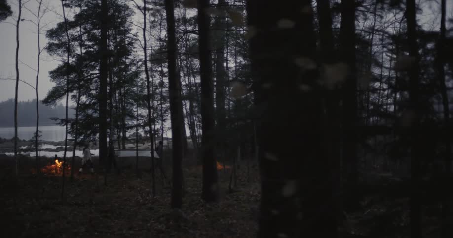 Group of people walking through the woods on a cloudy day