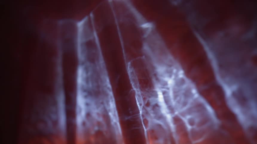 Light filters and prisms into blue colored waves