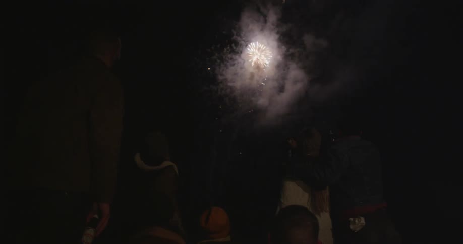 Fireworks explode in the dark night sky