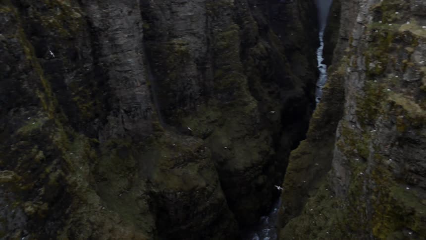 Birds are flying around in a canyon]
