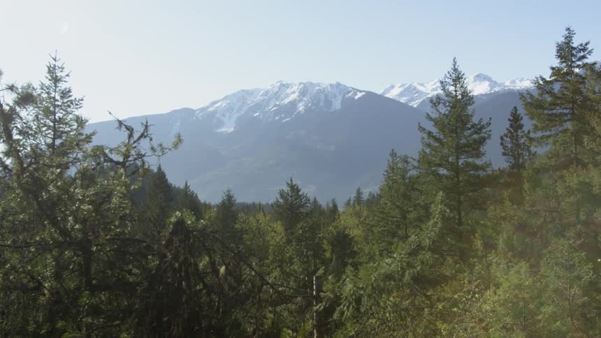 A snow capped mountain peak overlooking the forest trees
