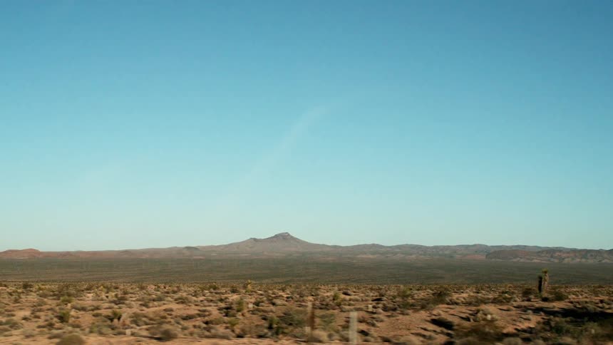 A large flat desert full of bushes