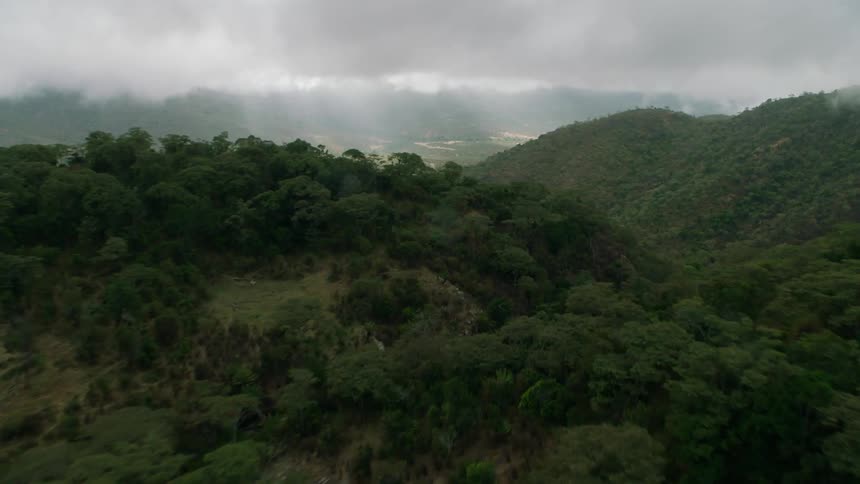 Lush green mountain forest on cloudy day