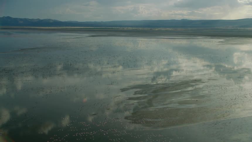 Reflections of clouds and birds flying on still body of water