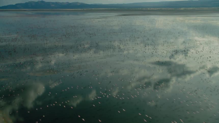 Reflection of clouds and birds flying over smooth water surface in lake