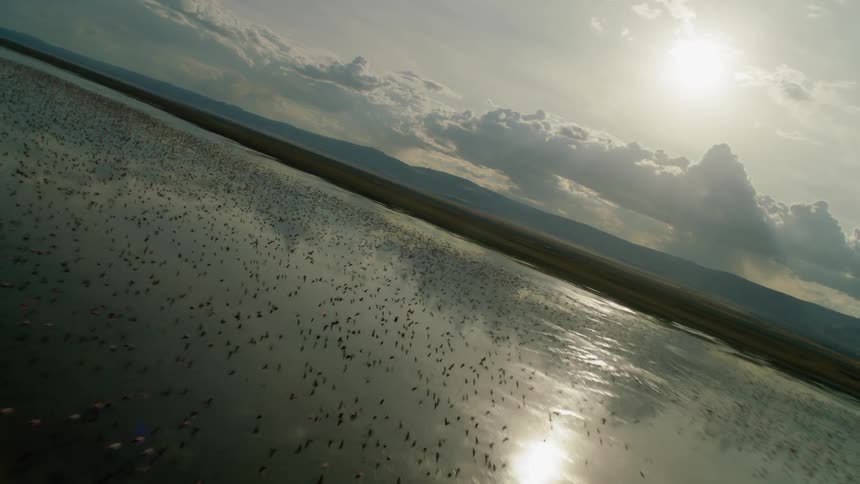 Thousands of birds fly over body of water on cloudy day