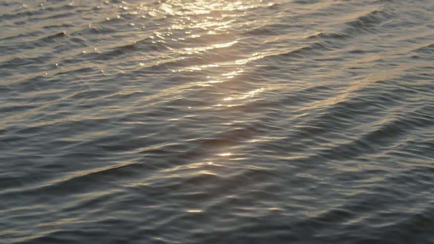 Sunlight is glistening on rippling water