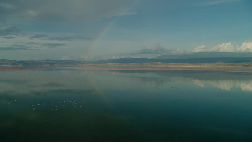 Birds flying over body of water with reflection of rainbow and clouds