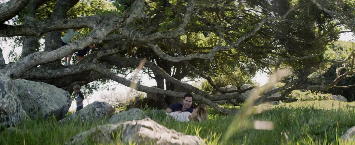 Mother and father lay in grass while children play in tree