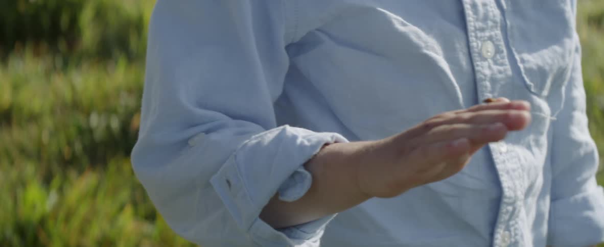 Little boy watching lady bug crawl on his hand outside on sunny day