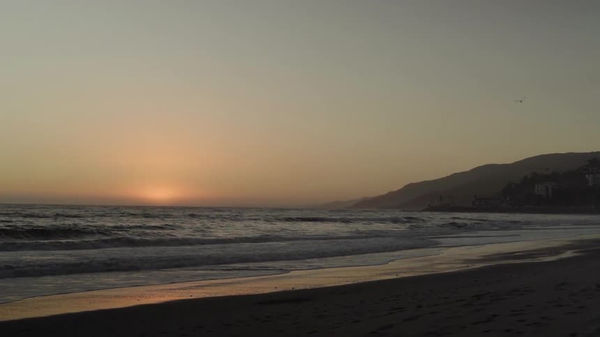 A bird is flying across the sky at a beach at sunset