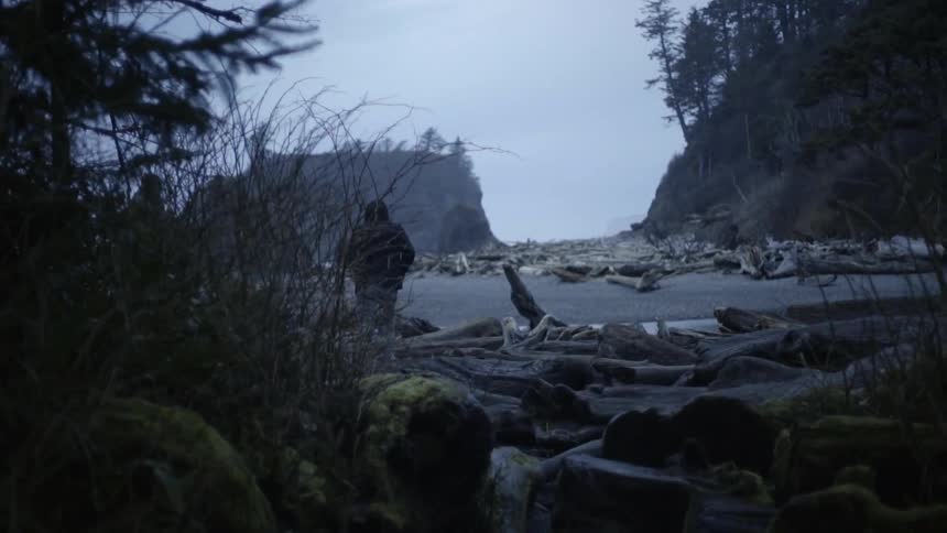 A man walks around on the lost coast trail