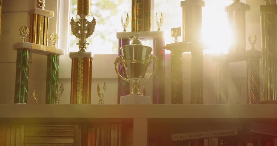 Trophies sit on a bookshelf in front of a sunny window