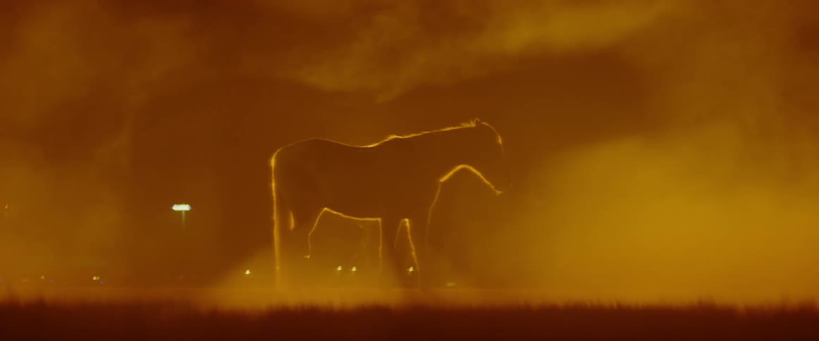 Horse stands in a foggy field at night