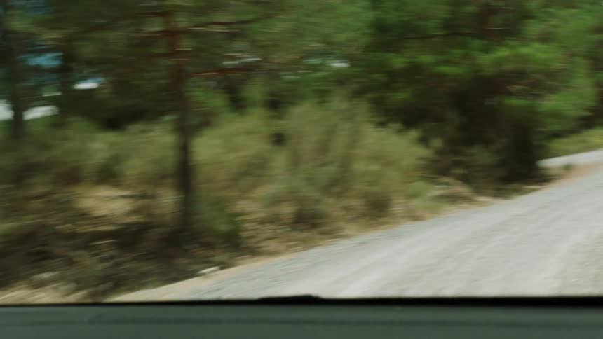 A vehicle travels on a curving forest road