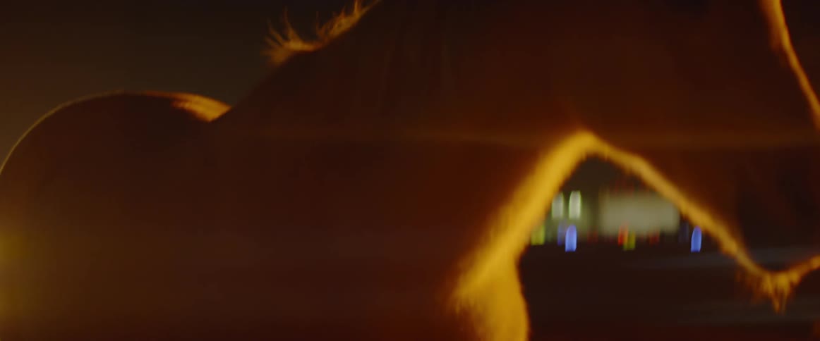A horse stands on grass at night