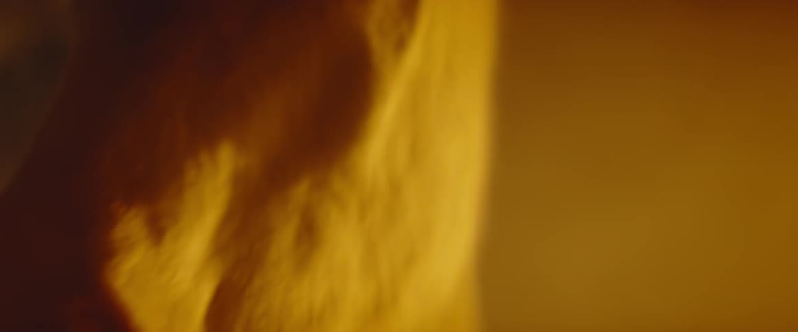 Dust floats around a horse