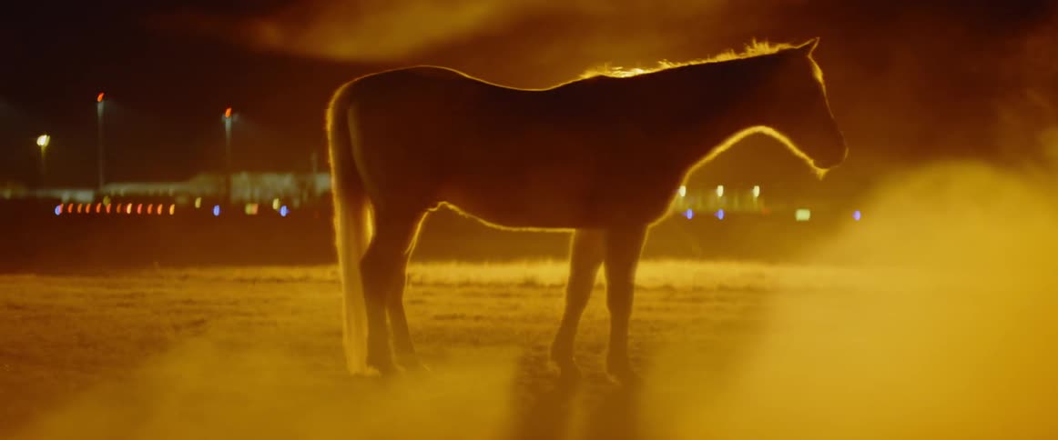 A horse stands outside as a yellow light shines