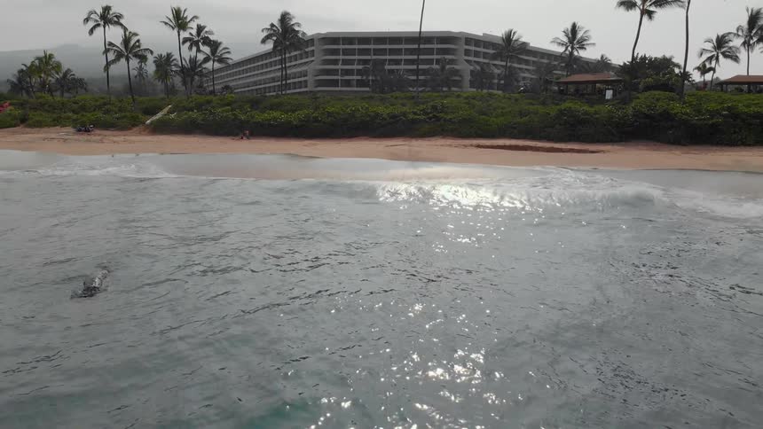 Ocean waves wash ashore a sandy beach