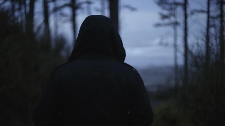 Person walking towards the shore on a cloudy day