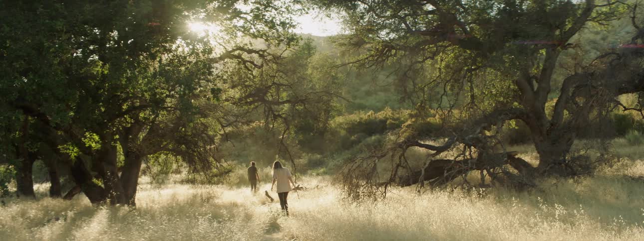 Man and woman walk through tall grass in the woods