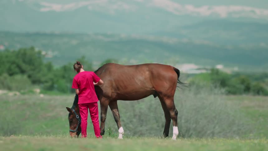 A woman brushes a horse as it eats grass