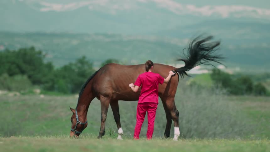 Woman wearing all red brushes a horse in a field