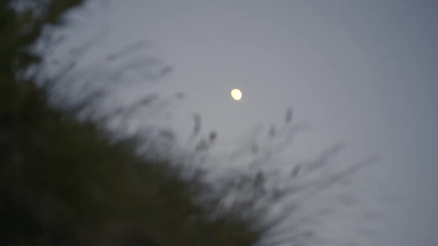 A wide shot of the moon at dusk taken from close to the ground of a hillside with grass in the foreground