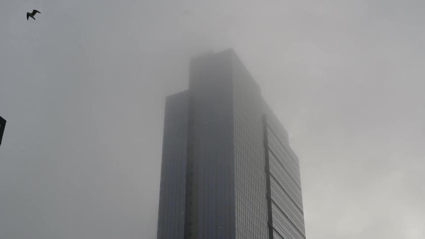 A bid is flying high above the city